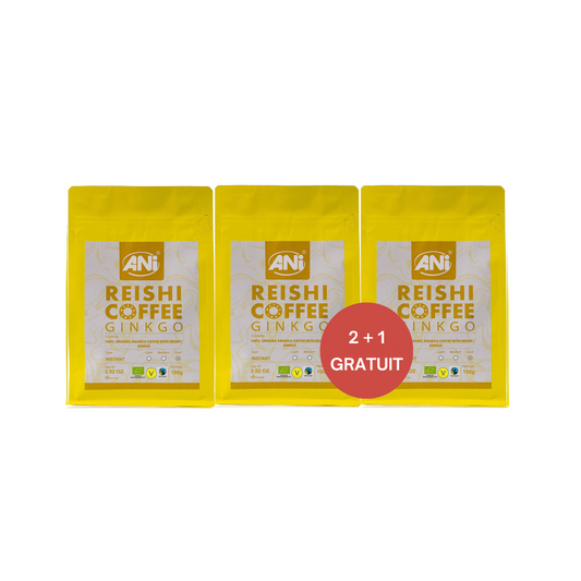 Ginkgo Reishi BIO Café instantané 100g 2+1 gratuit ANilab