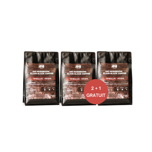 Tribulus Reishi Café instantané 100g 2+1 gratuit ANilab