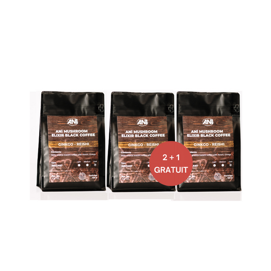 Café instantané Ginkgo Reishi 100g 2+1 gratuit ANilab