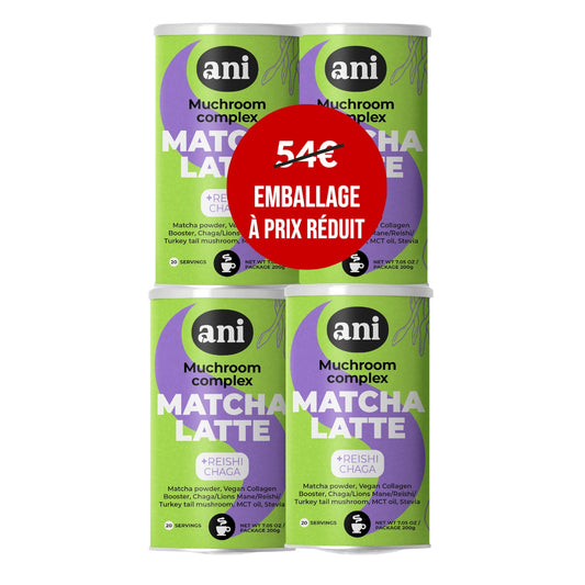 Matcha Latte mushroom complex TUBUS 200g 4 pièces